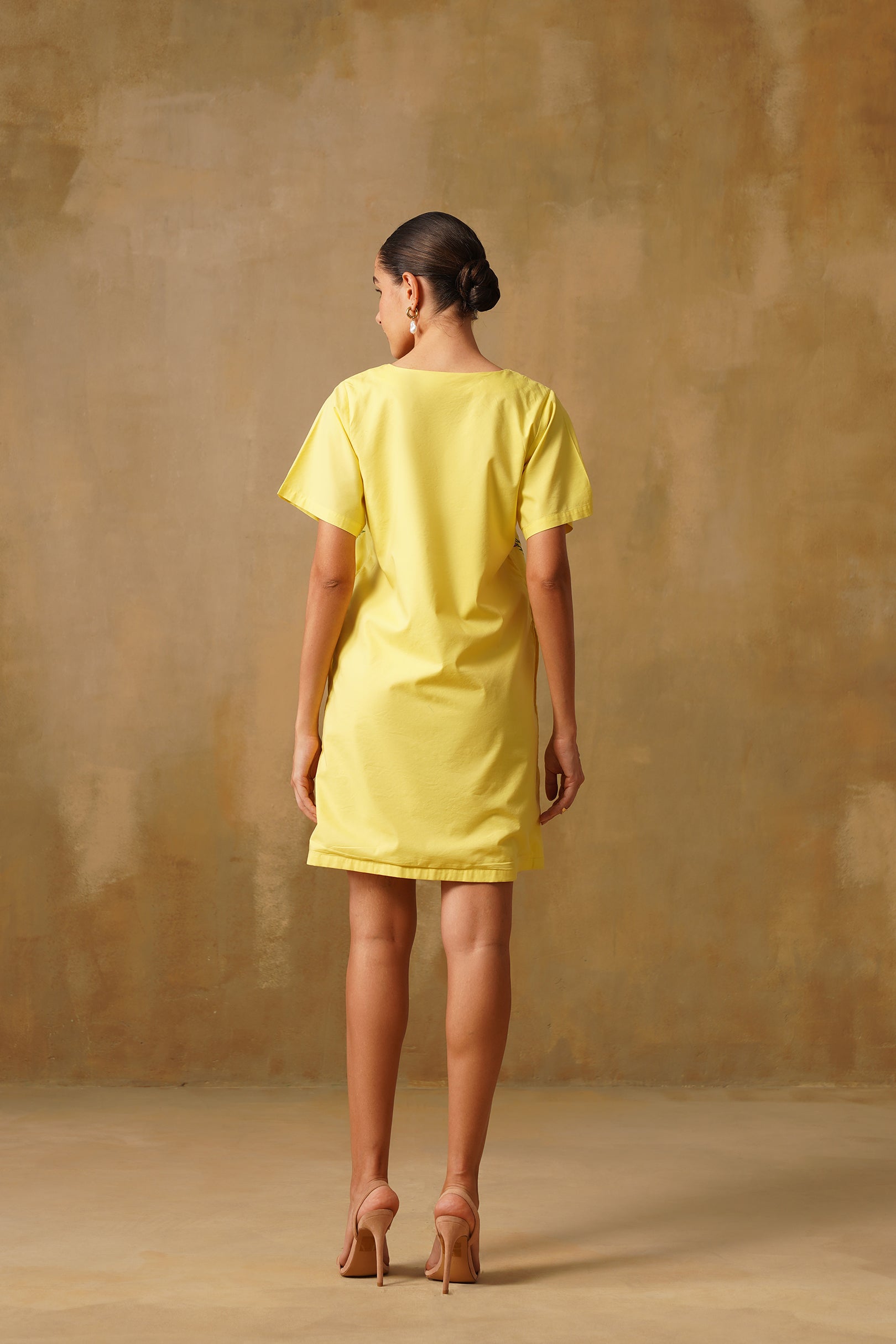 Embroidered Poplin Box Dress With Intricate Lace Framework